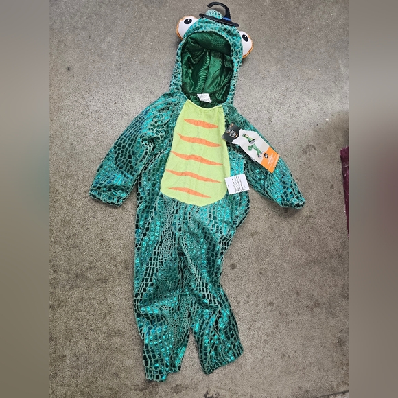 Baby Chameleon Halloween Costume 18-24 months - Picture 3 of 4